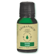 Aromaforce - essential oil : eucalyptus Online now