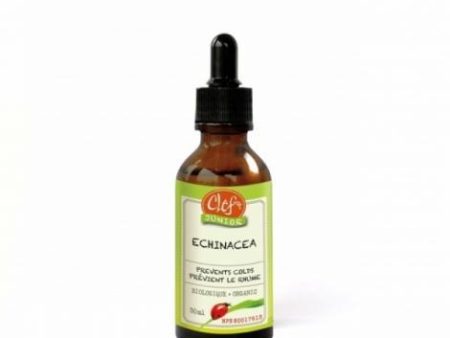 Clef des champs - junior echinacea organic - 30 ml For Cheap