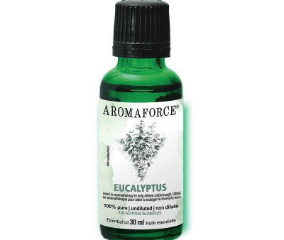 Aromaforce - essential oil : eucalyptus Online now