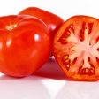 Early Girl Hybrid Tomato Vegetable Seed Hot on Sale