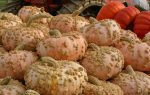 Peanut Pumpkin Vegetable Seed Online Sale