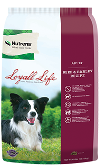 Loyall Life Adult Beef and Barley Dry Dog Food Sale