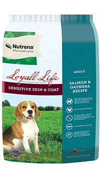 Loyall Life Sensitive Skin and Coat Adult Salmon and Oatmeal Dog Food For Discount