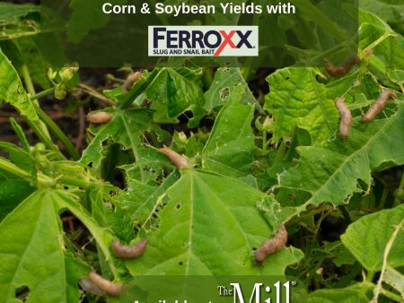 Ferroxx Slug & Snail Bait Online