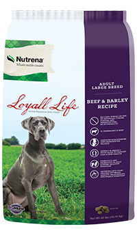 Loyall Life Adult Large Breed Beef and Barley Dry Dog Food Online now