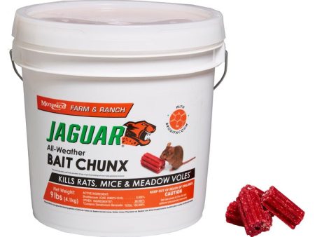 Motomco Jaguar Rat and Mouse Bait Chunx Sale