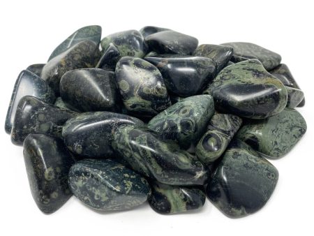 Kambaba Jasper Supply