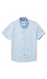 Light Blue Solid SS Dress Shirt Supply