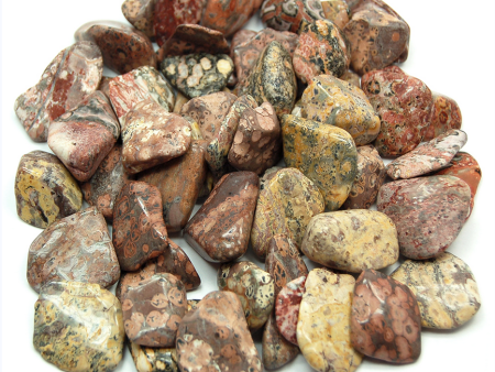 Leopard Skin Jasper Tumbled Online