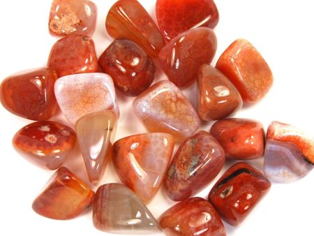 Fire Agate Tumbled Online Hot Sale