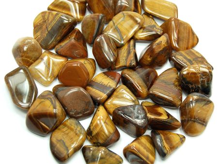 Tigers Eye Tumbled Supply