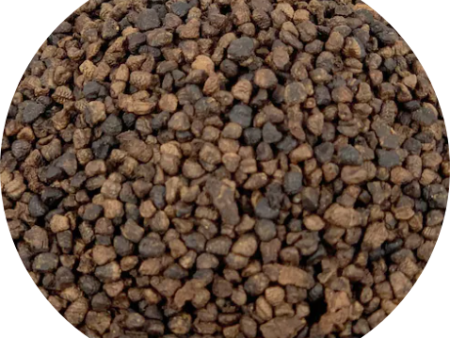 Cardomom Seeds Hot on Sale